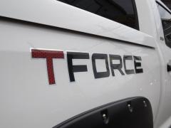 ɥ T-FORCE