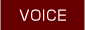 CAR OWNER'S VOICE